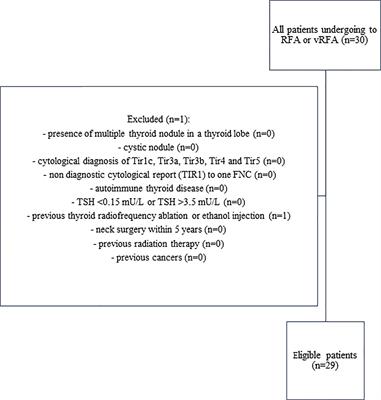 The Ablation of Thyroid Nodule’s Afferent Arteries Before Radiofrequency Ablation: Preliminary Data